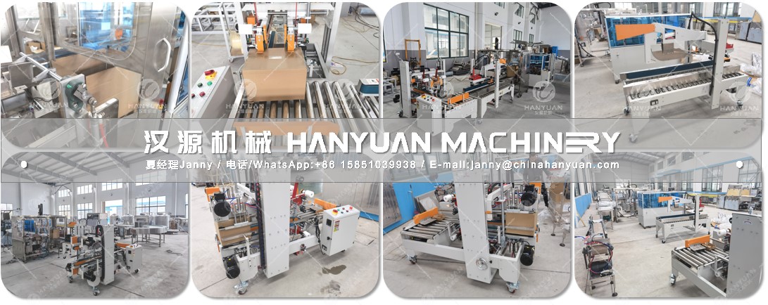 Automatic Cartoning Sealing Machine