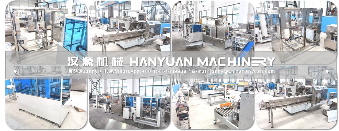 Automatic Carton Packing Machine