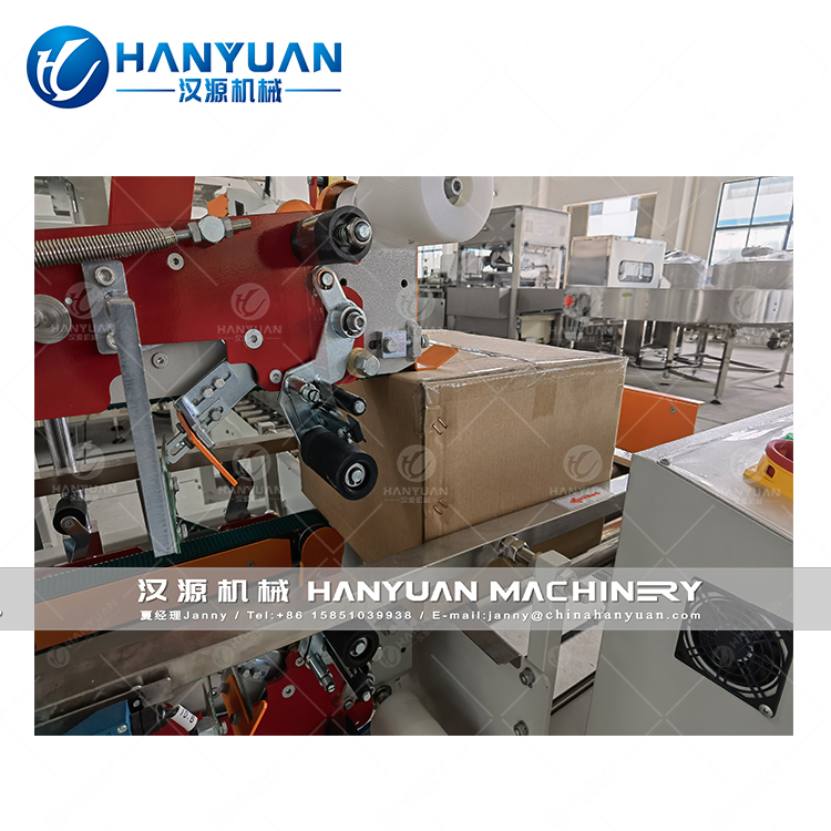 Automatic Cartoning Sealing Machine