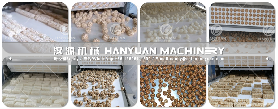 Rice Ball Molding Machine-2