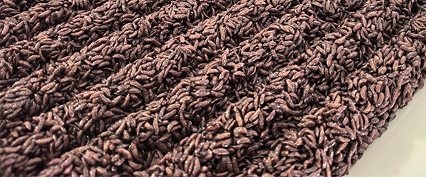 New Automated Cereal Bar Machine Boosts Efficiency for Food Manufacturers