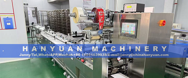 Cereal Bar Packing Machine