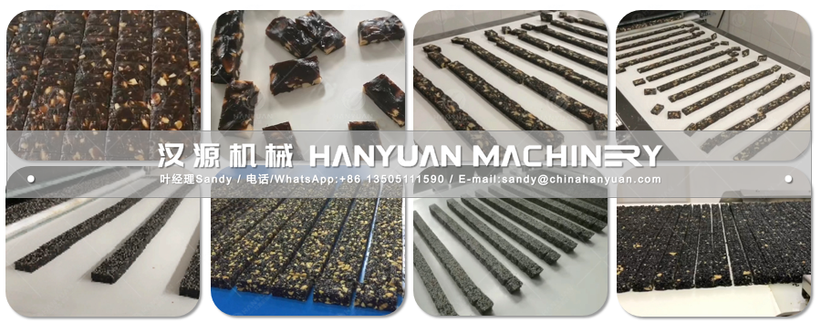 Development of Dates Bar Production Line