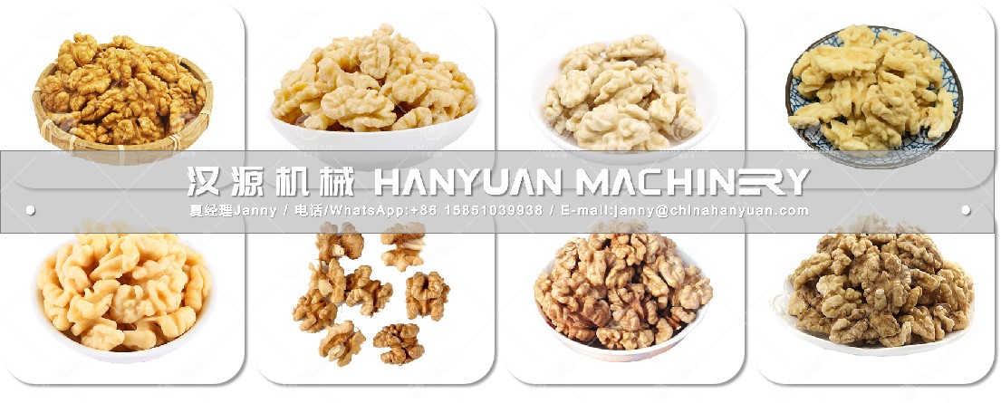 Walnut Meat Skin Removing and Cleaning Production Line